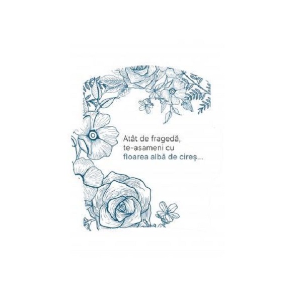 product-45399-5d03cb72f1597f053656c083a9f3e3a7