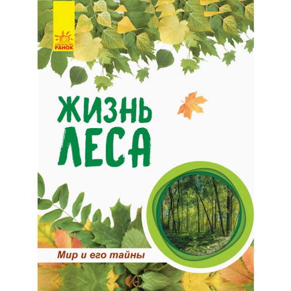 product-45611-fa8cc03556fd8dfcbdded18d23035be4