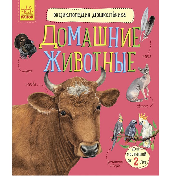 product-45846-1f58fc565b4ef6729ff93324bd42d260