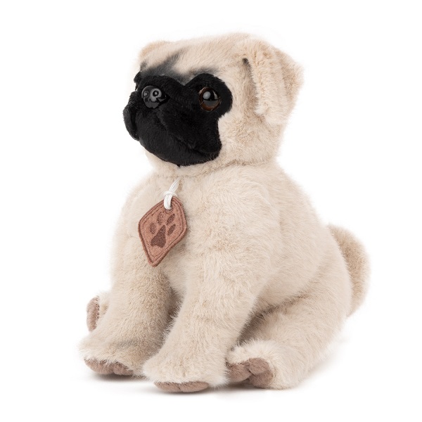 product-45888-952f2c21485067b06a4f39ee60e35c70