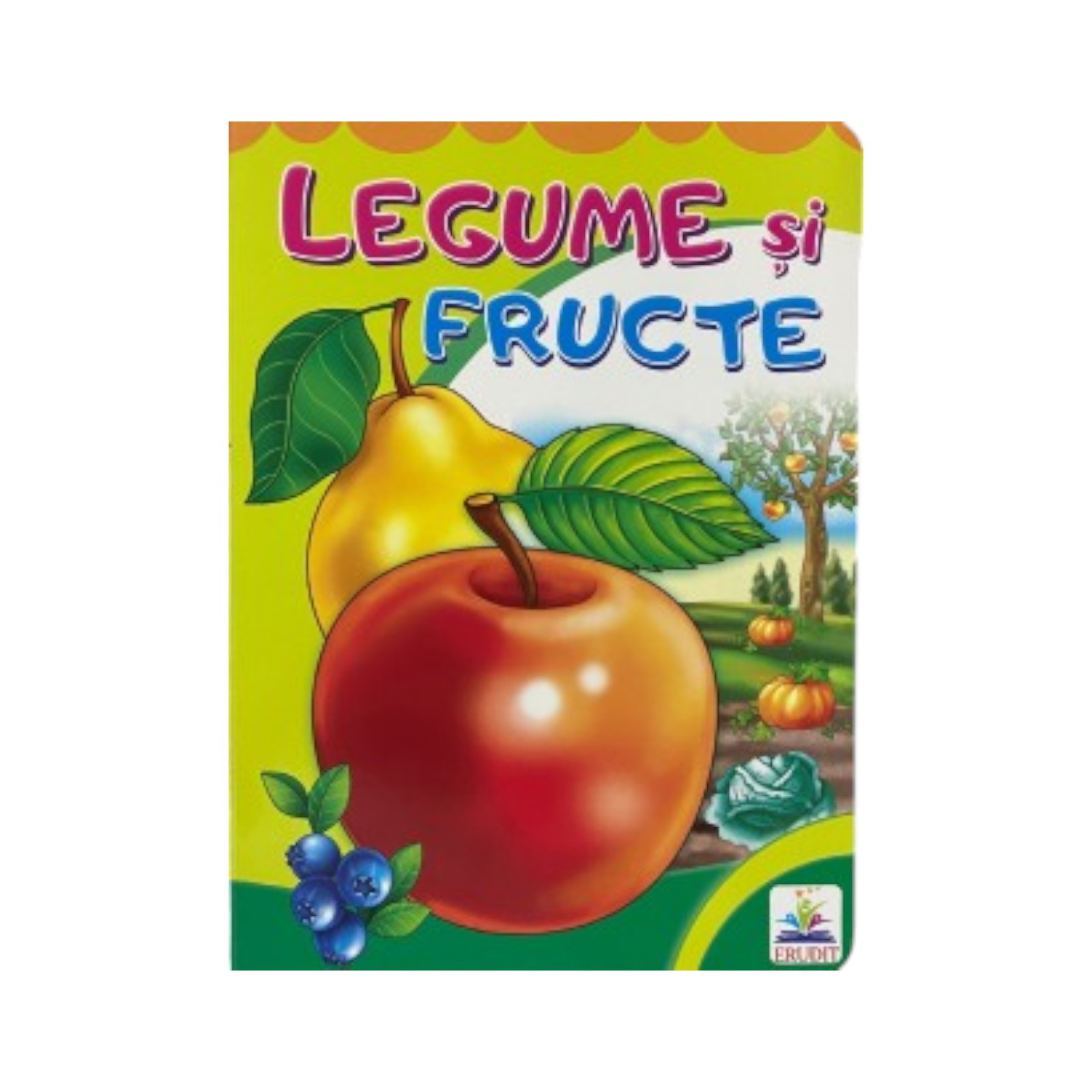 product-46203-dfa443823612444dd98c05fed15c875c