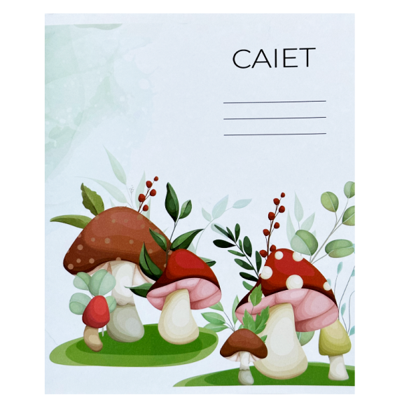 product-47138-d8590b9634d1e3ccac0284f83f1f06c1