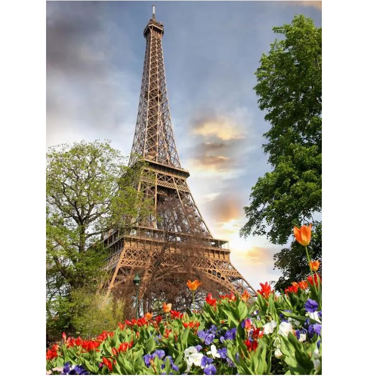 product-53655-194a42bff420d35b8a4be03359d9a87a