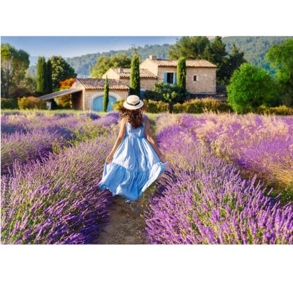 Набор для рисования по номерам Лаванда в Провансе (30*40) 74458