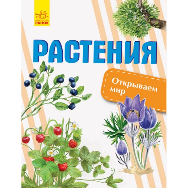 product-59697-6648122f3881ad37c348aeccb1acbce1-1